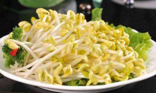 在家如何生黄豆芽 在家如何生黄豆芽简单方法