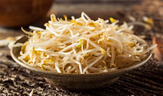 豆芽怎么保存隔夜（豆芽怎么保存隔夜不变质）
