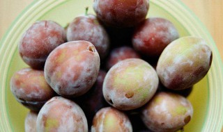 西梅夏天怎么保存（西梅如何保鲜时间比较长）