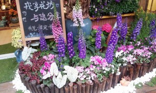 新手如何开花店（新手如何开花店要多少钱）