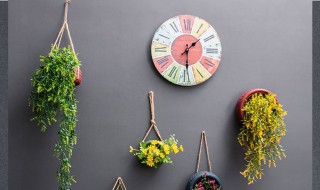 如何做挂壁式花盆（挂壁式花盆效果图）