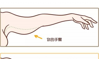 甩臂的正确方法（甩臂的正确方法图片）