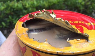 鲱鱼罐头那么臭为什么还有人吃 鲱鱼罐头那么臭为什么还有人吃1005无标题