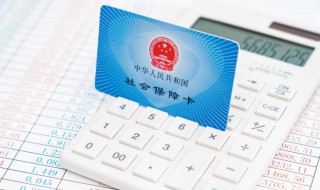 社保缴费怎么查询 个人社保缴费怎么查询