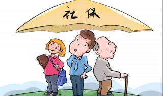 怎样查社保交了多少年 微信上怎样查社保交了多少年