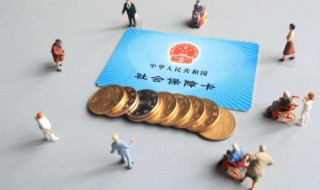 买了社保用不了怎么办（交了社保为什么用不了医保）