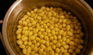 泡黄豆做法窍门 泡黄豆做法窍门视频
