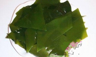 海带叶芽怎么保存（海带芽怎么处理）