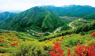 六盘山在哪里在什么省 六盘山在什么省份