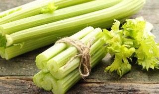 芹菜夏天高温种植方法（芹菜夏天高温种植方法是什么）