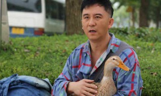 福根进城剧情介绍（福根进城剧情分集介绍）
