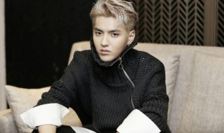 吴亦凡资料简介 吴亦凡资料简介图片