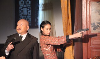 代号电视剧剧情介绍（代号电视剧剧情介绍蓝青瑶）