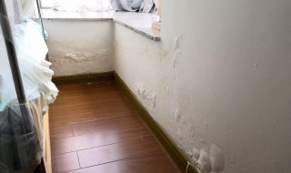 墙壁漏水怎么办最简单补救方法（墙壁漏水怎么办最简单补救方法图片）
