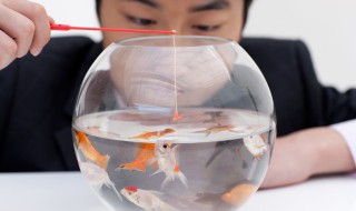 绑鱼嘴的方法（绑鱼的方法视频）
