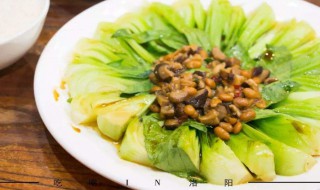 炒青菜保持绿的方法 炒青菜保持绿色方法