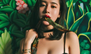绿茶女什么意思（绿茶女什么意思网络用语明星解释）