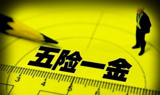 五险一金包括什么及缴纳比例（五险一金包括什么及缴纳比例呢）