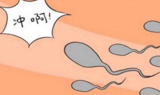 怎样才可以怀孕（男生怎样才可以怀孕）