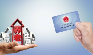 社保缴交怎么查询（社保缴交怎么查询缴费记录）