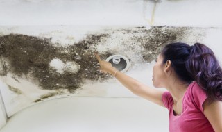 屋顶有霉点怎么处理 屋顶有霉点怎么处理好