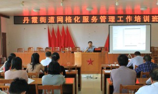 网格化管理是什么意思（城市网格化管理是什么意思）