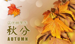 秋分到来预示着什么 秋分到来预示着什么意思