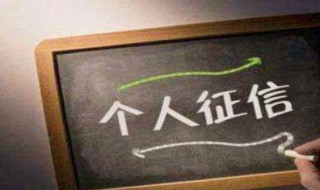 怎么查个人正信报告 查询个人正信的正确方式有哪些