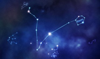 双子子座和什么星座最配 双子座跟哪些星座最配