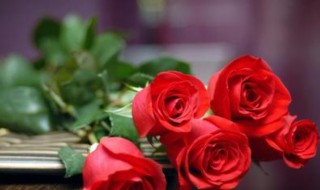 21朵玫瑰花代表什么意思（21朵玫瑰花代表什么意思朋朋友生日）
