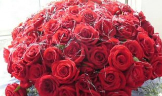 九朵玫瑰花代表什么（九朵玫瑰花代表什么意思含义）