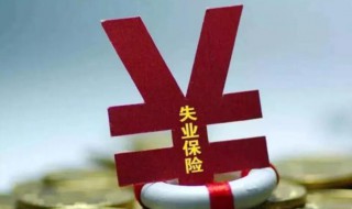 失业金是领保险金还是补助金 失业金是领保险金还是补助金呢
