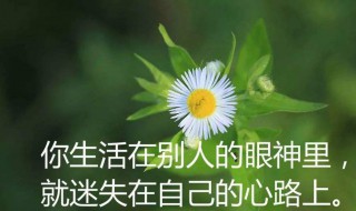 感悟人生句句精美（感悟人生的经典句子走心）