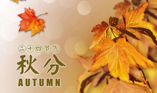 春夏秋冬分别是哪几个月 我国春夏秋冬分别是哪几个月