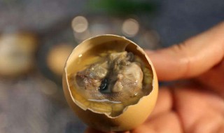 吃活珠子的好处和危害 吃活珠子的好处和危害?
