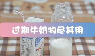 牛奶过期了如何利用 牛奶过期了如何利用 用途
