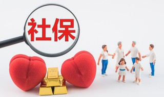 个人如何交社保（个人如何交社保公积金）