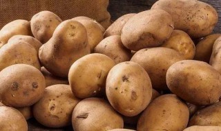 土豆营养价值及功效（土豆营养价值及功效作用作）