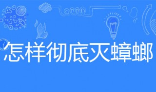 怎样彻底灭蟑螂 怎样彻底灭蟑螂最有效
