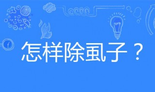 怎样除虱子 怎样除虱子最快方法不需用药