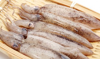 鱿鱼和章鱼有什么区别 鱿鱼和章鱼是一样吗