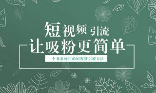 短视频引流的手段介绍（短视频用户引流与转化推广策略）