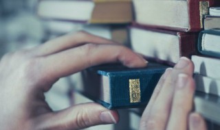 无脑下单是什么意思 无脑买什么意思