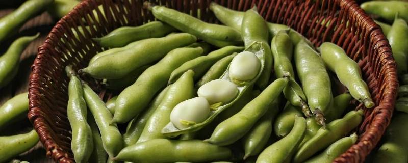 蚕豆要煮多久才熟（蚕豆要煮多久才熟才能晒干）