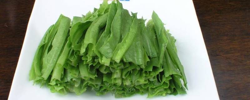 成都凤尾菜又叫什么 成都凤尾菜又叫什么菜