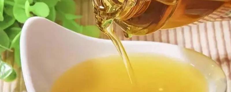 菜籽油过期了怎么处理 菜籽油过期了如何处理