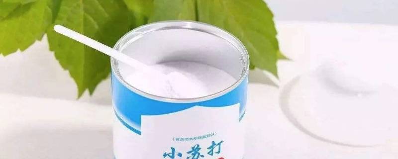 菠萝没有盐用什么代替 菠萝可以不放盐吗