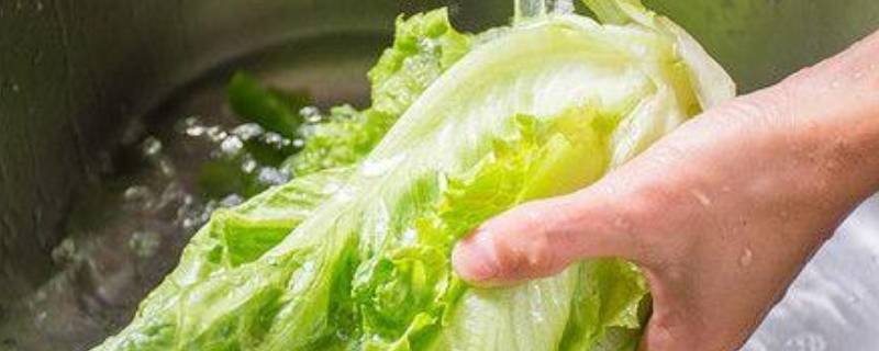 广东过年葱和生菜寓意（广东葱香菜寓意）