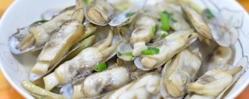 蛏子怎么读（虫圣蛏子怎么读）