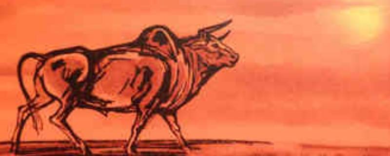 关于牛年的文字（关于牛年的文字介绍）